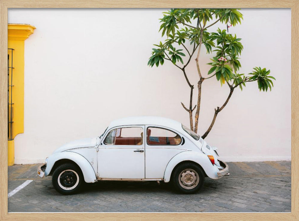 Pastel Volskwagen Beetle in the streets of Oaxaca Mexico Poster