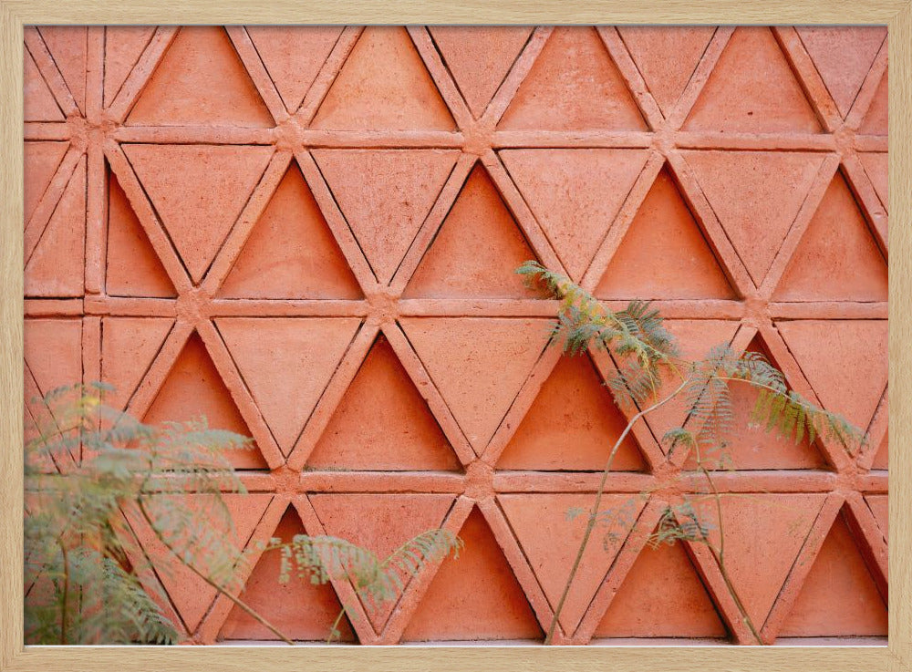 Coral details of Oaxacan Architecture in Mexico Poster