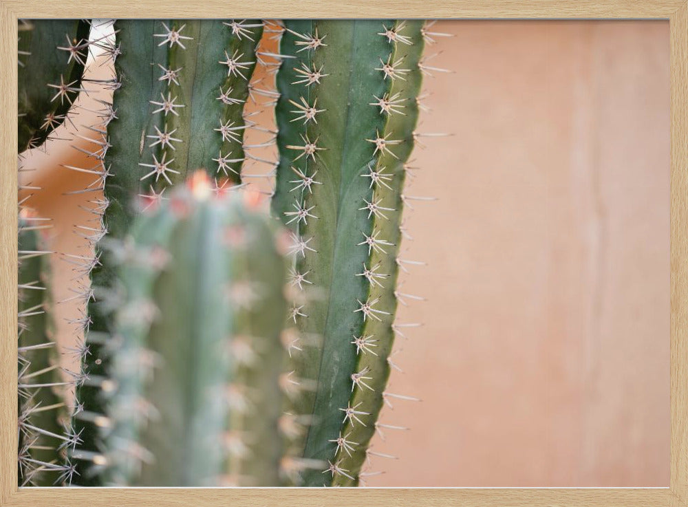 Botanical Pastel Marrakech Poster