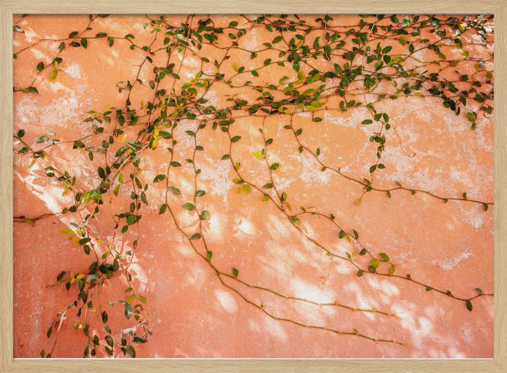 Botanical San Miguel de Allende | Mexico travel photography Poster