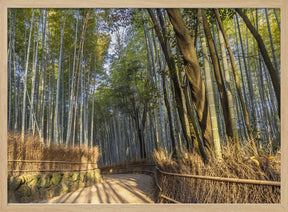 Impressive Arashiyama Bamboo Forest Poster