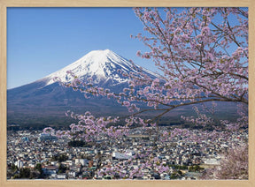 Picturesque view of Mount Fuji during cherry blossom season Poster