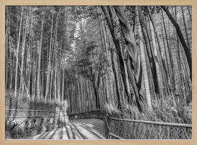 Impressive Arashiyama Bamboo Forest - monochrome Poster