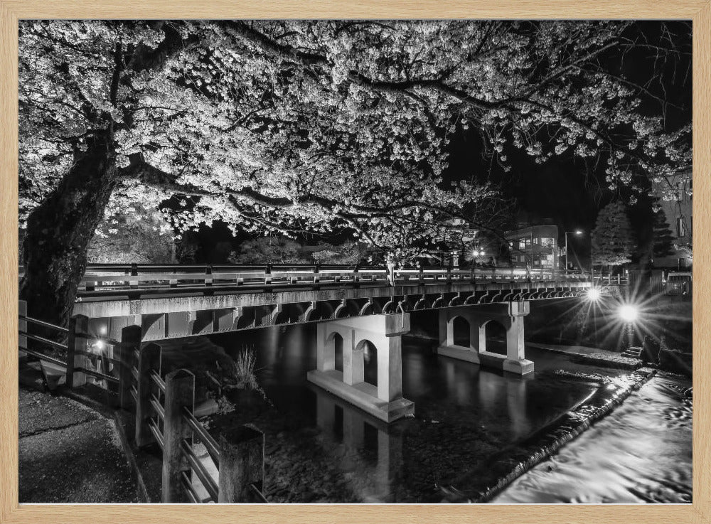 Picturesque Nakabashi Bridge in the evening - monochrome Poster