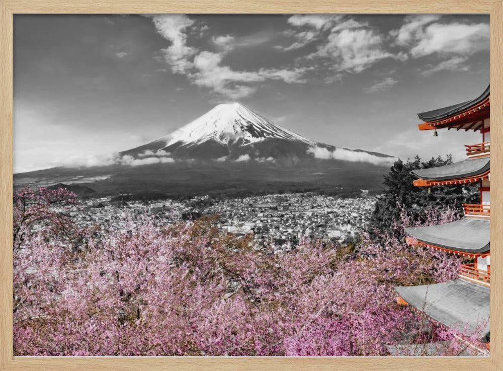 Idyllic panoramic view of Mount Fuji with Pagoda and Cherry Trees - colorkey Poster