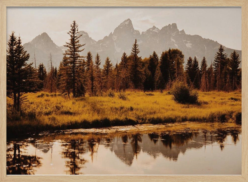Schwabacher Landing Poster
