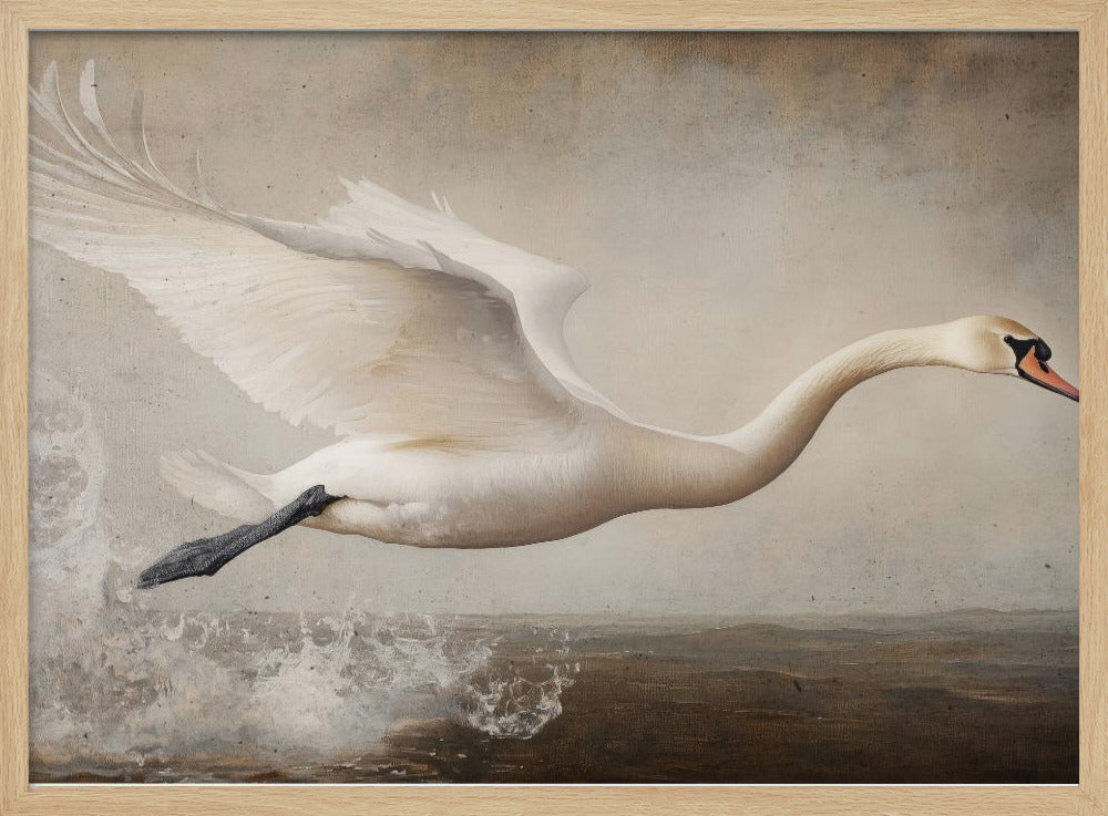 Flying Swan Poster