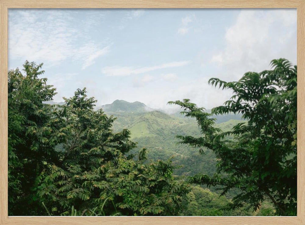 Greens of Monteverde Costa Rica Poster