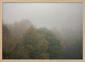 Foggy Autumn Forest Poster