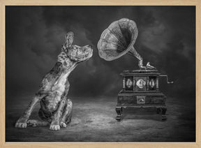 MusicDog-BW Poster