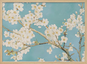 Cherry Blossoms Tree Poster