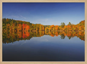 Autumn Poster