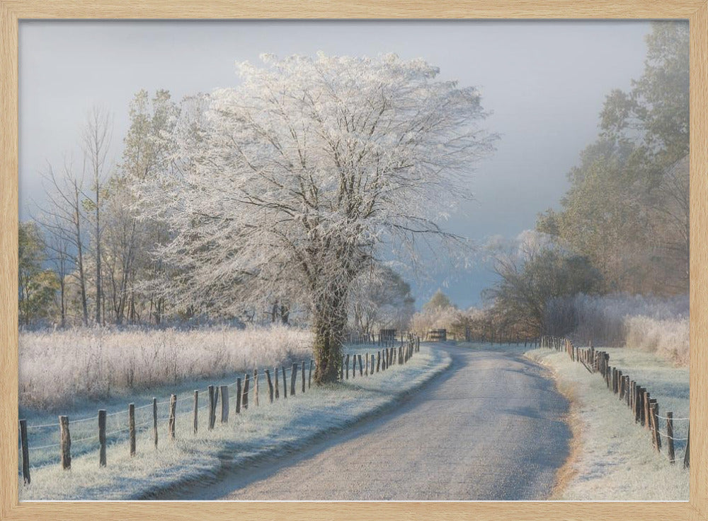 A Frosty Morning Poster