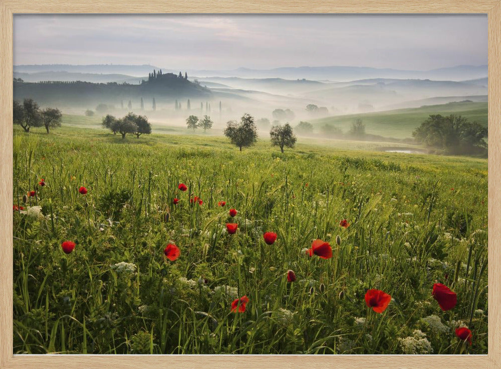 Tuscan spring Poster