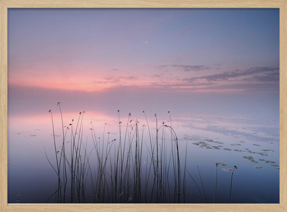 Lake Poster