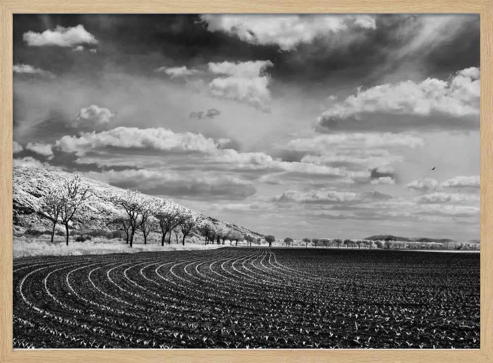 Bio athletic stadium Poster