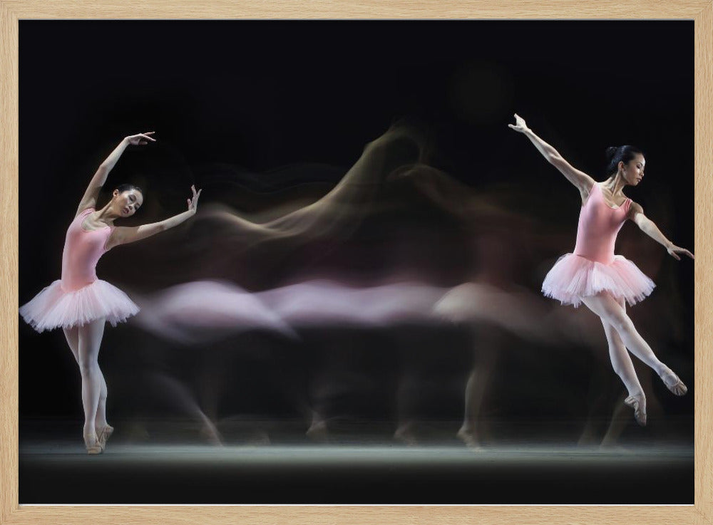 Graceful Balerina Poster