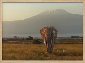 Under the roof of Africa Poster