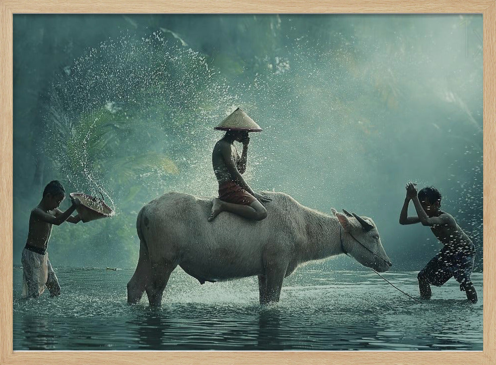 Water Buffalo Poster