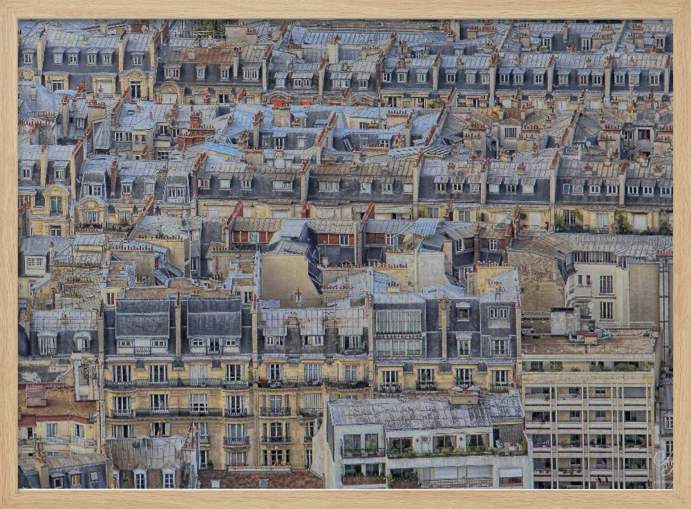 Parisian roofs Poster