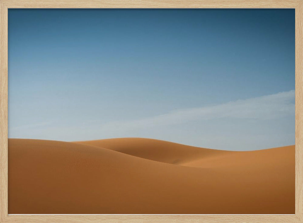 Sensual desert Poster