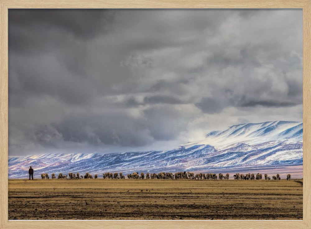 At the foot of the Tianshan Mountains Poster