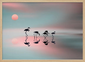 Family flamingos. Poster