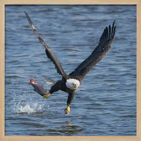 Lunch over Mississippi Poster