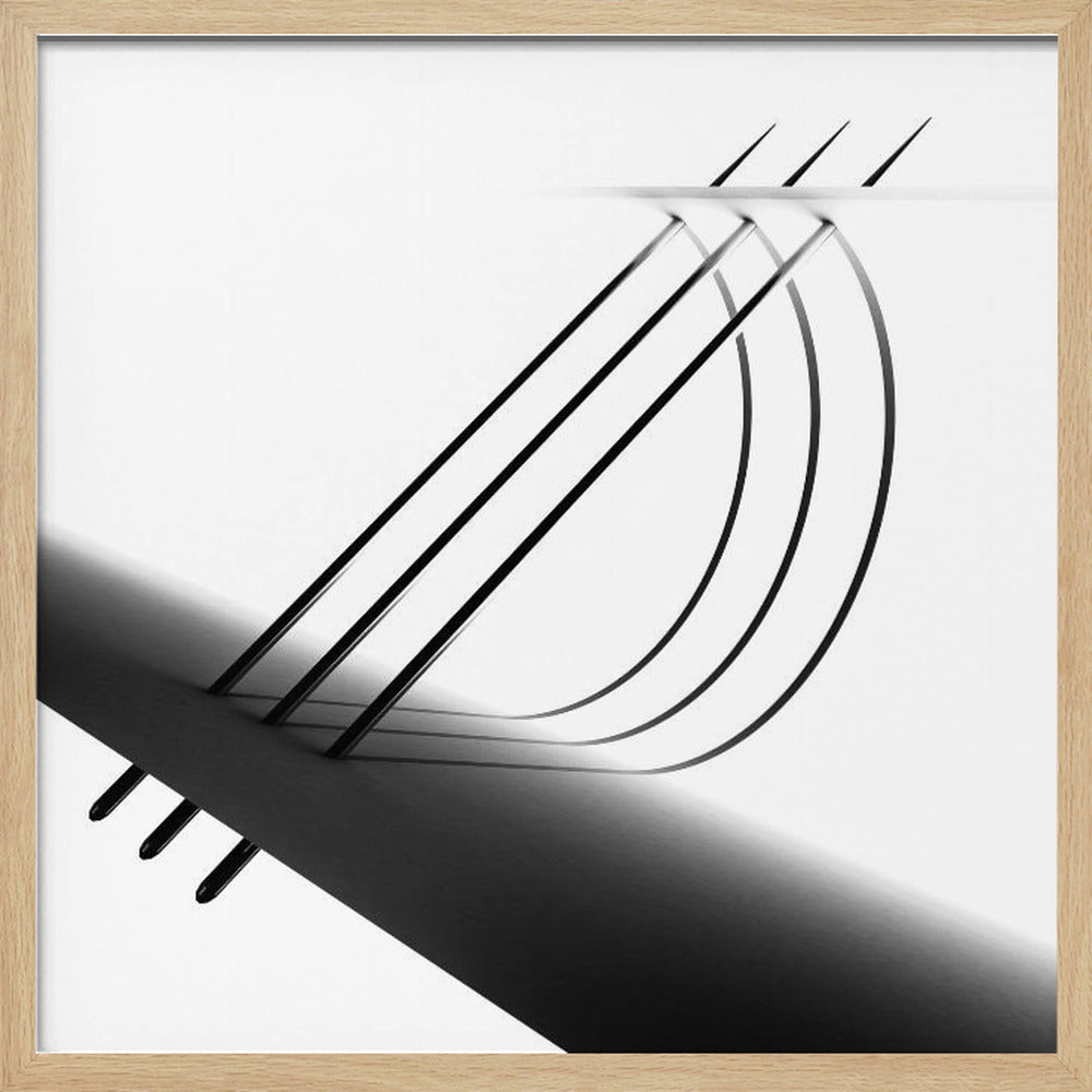 Arch of Needle Poster