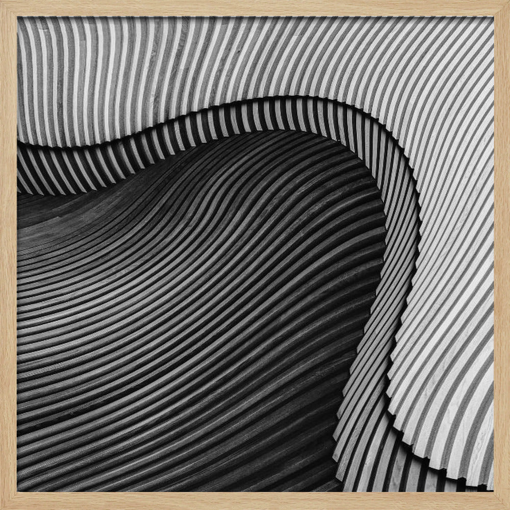 The wood project II - Sea shore Poster