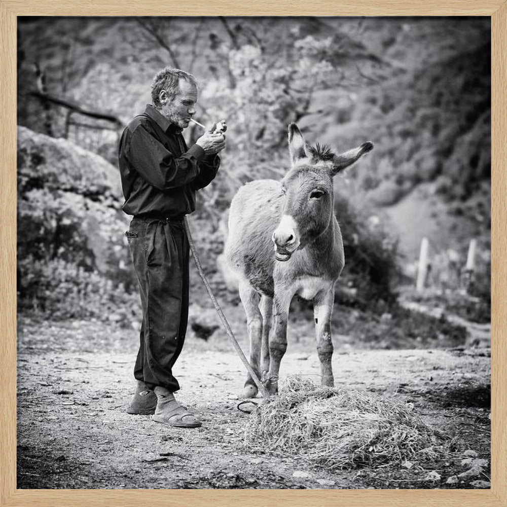 Vova and his donkey Poster