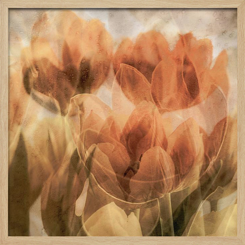 Tulips Poster