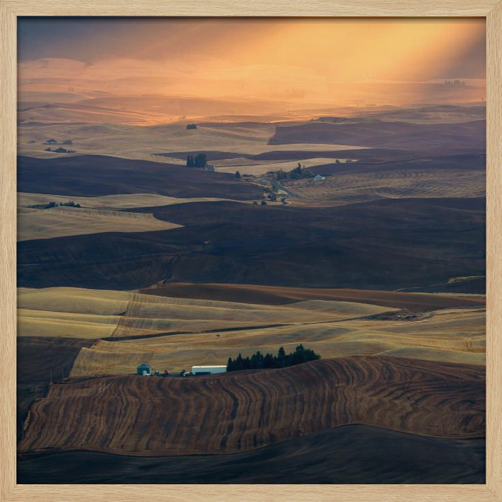 Palouse Impression Poster