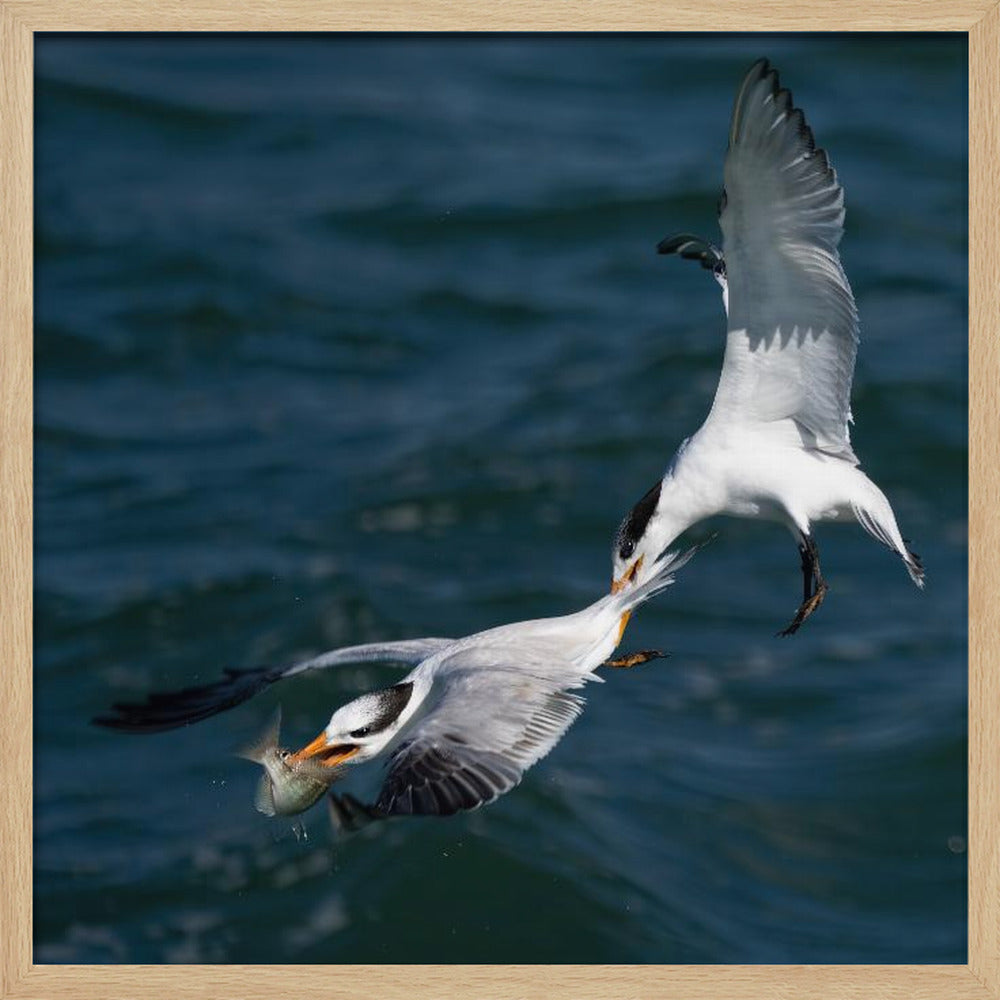 Robbery on the High Sea Poster