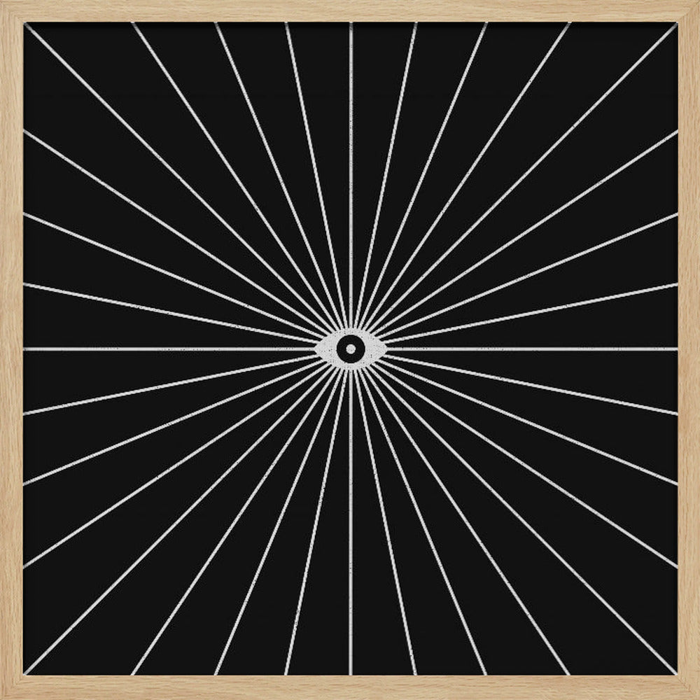 Big Brother Inverted Poster