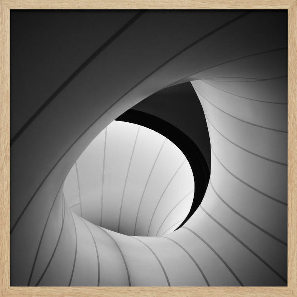 Winton Gallery Ceiling #7 Poster