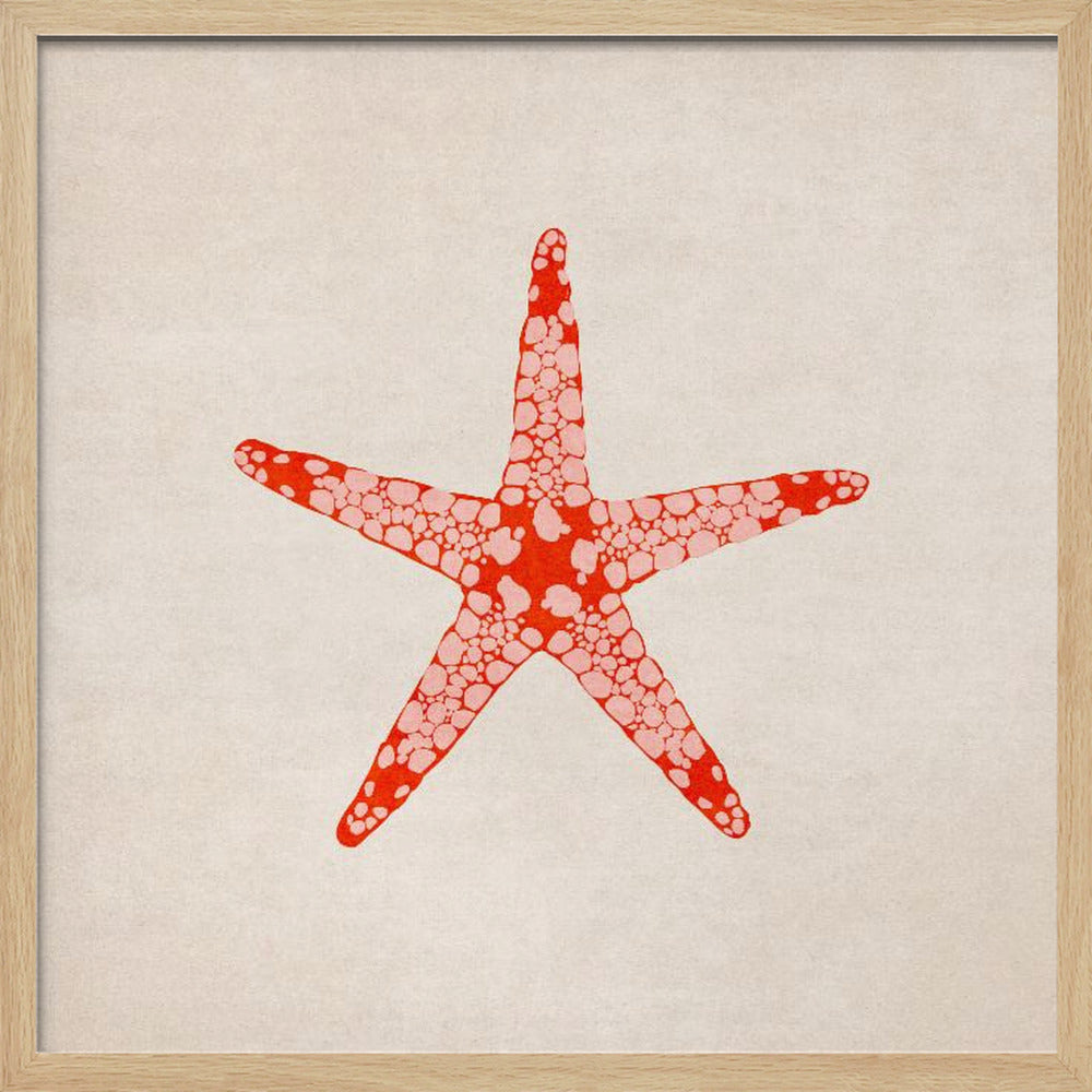 Sea Star Poster