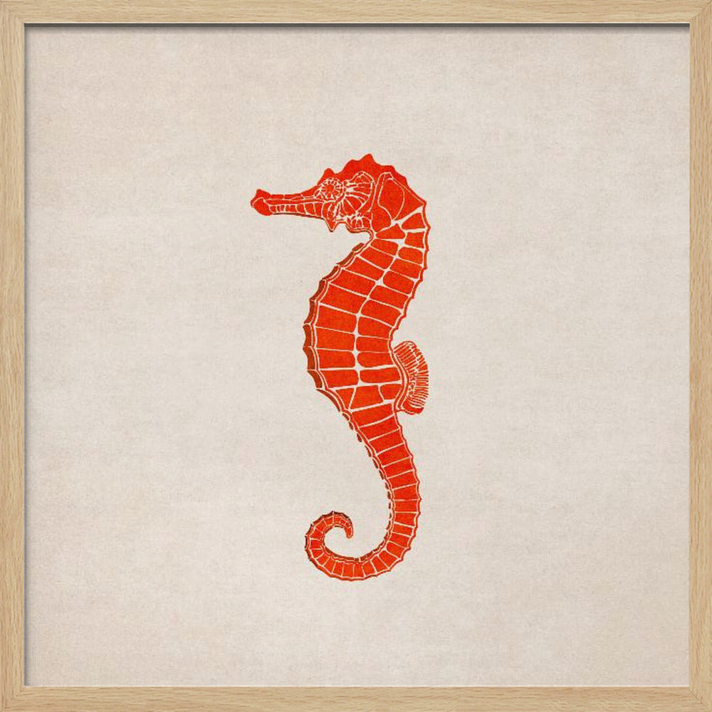 Sea Horse Poster