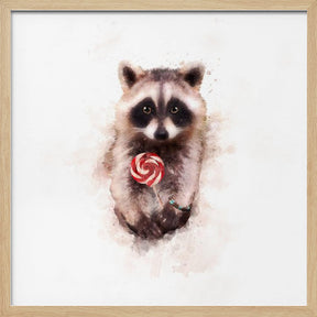 Baby Racoon Poster