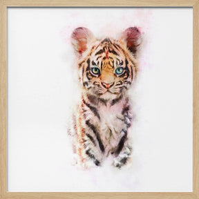 Baby Tiger Poster