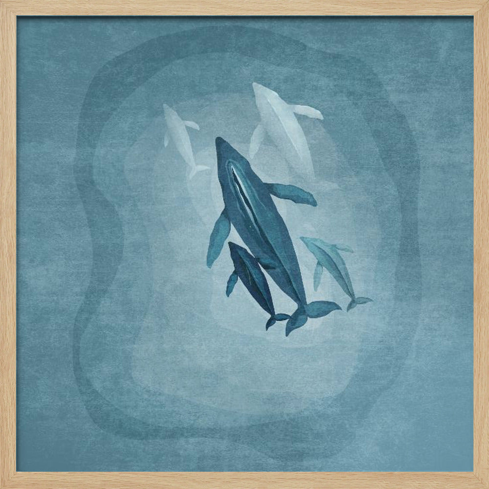 Whalesfamily Poster