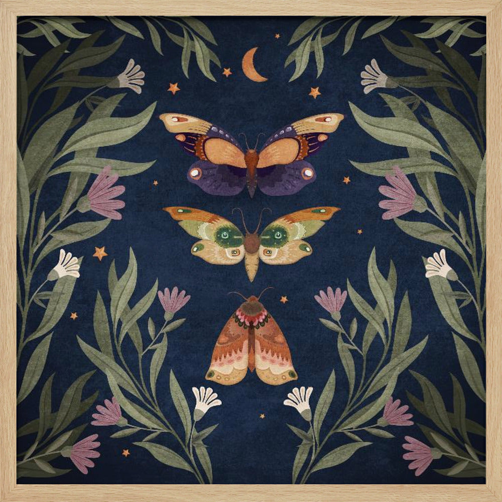 Butterfly Night Fly Poster