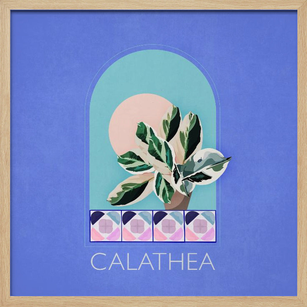 Green Sets Calathea Poster