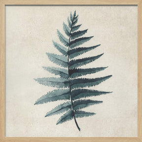 Teal watercolor fern 5 Poster