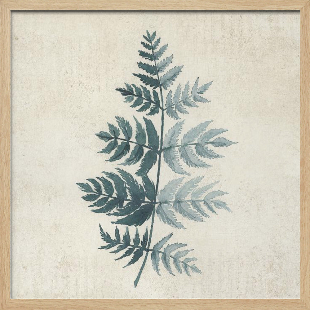 Teal watercolor fern 4 Poster