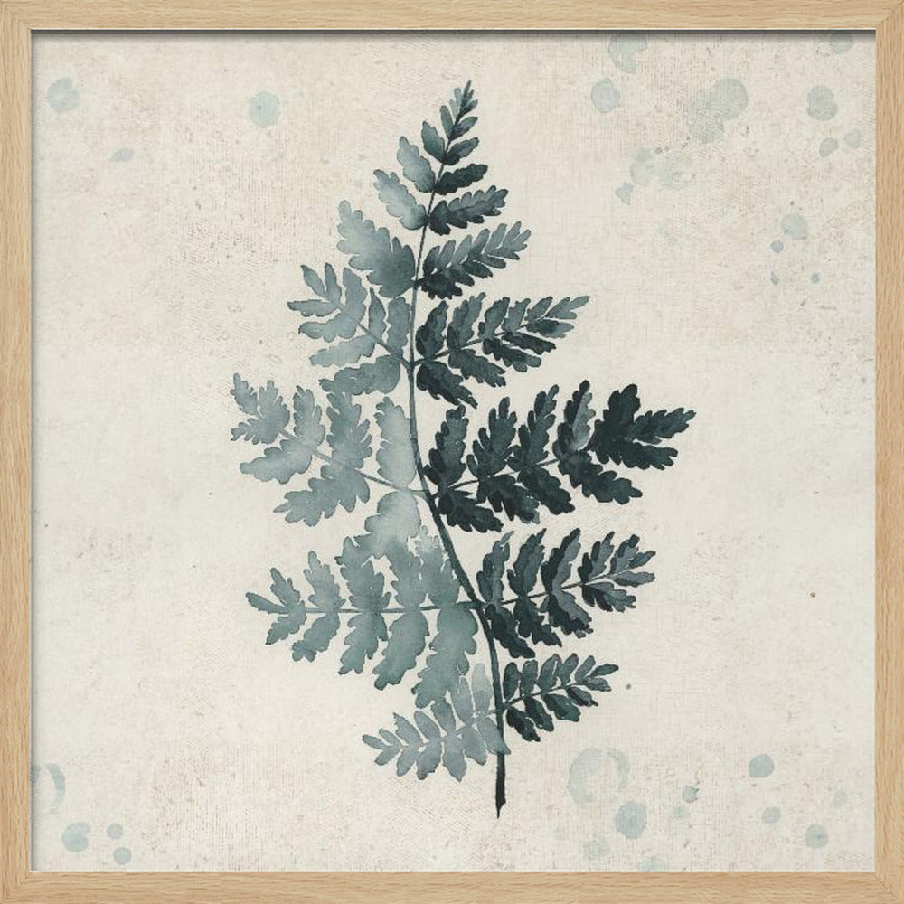 Teal watercolor fern 2 Poster