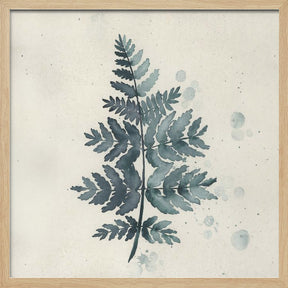 Teal watercolor fern 1 Poster