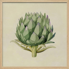 Artichoke Poster