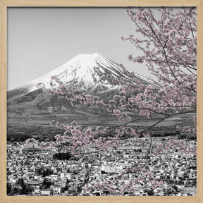 Charming view of Mount Fuji during cherry blossom season - colorkey Poster