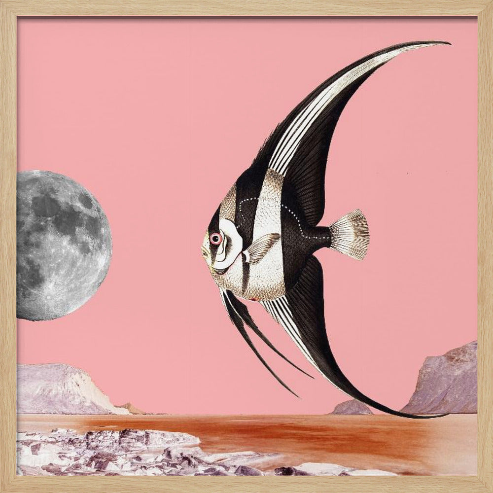 Plenty of Fish In the Sea Pink - Surreal Collage Poster